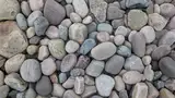 Bild 0